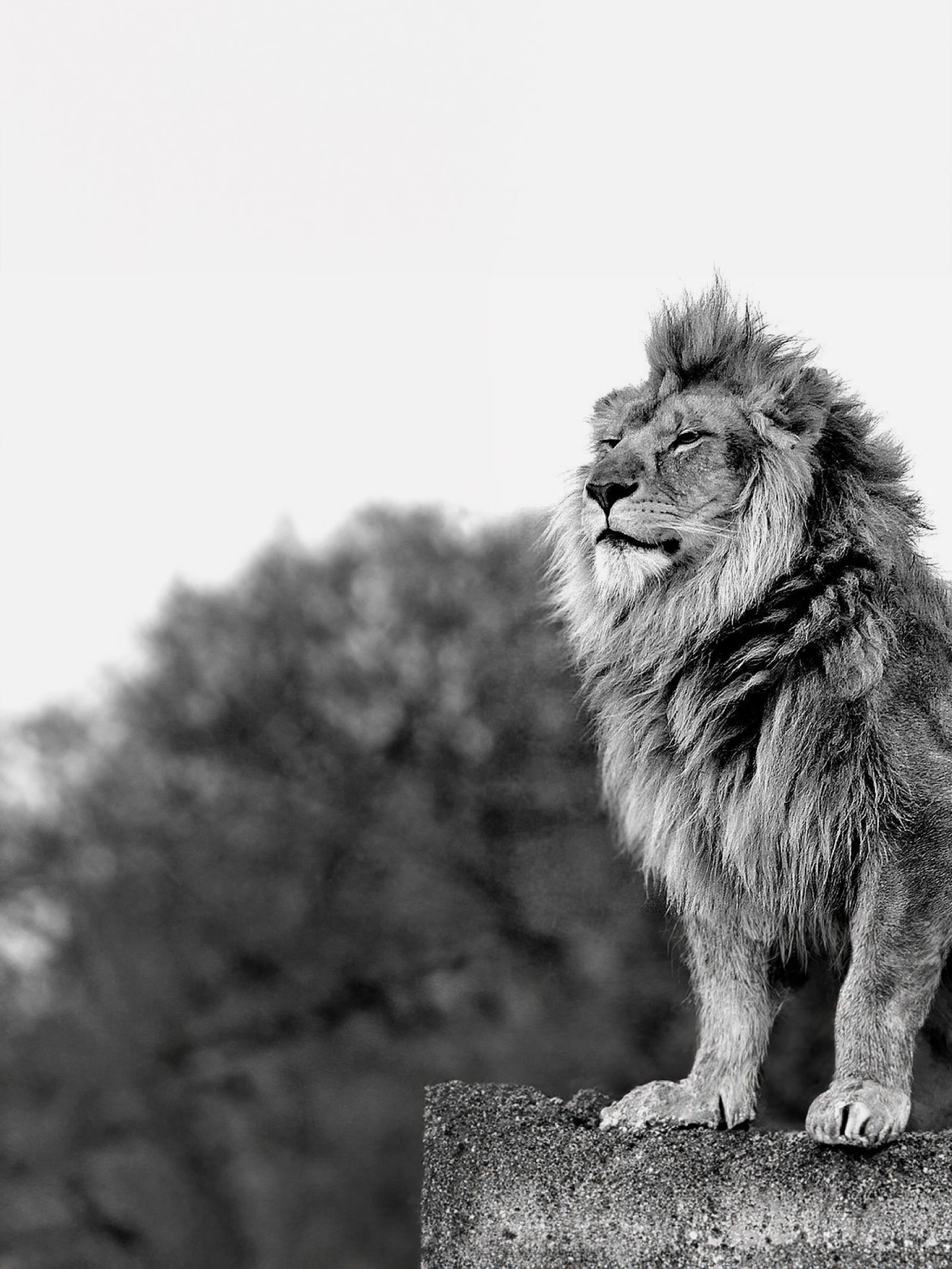 5 B115743 76 B6 46 F4 BE99 420 D8 B01 DE77